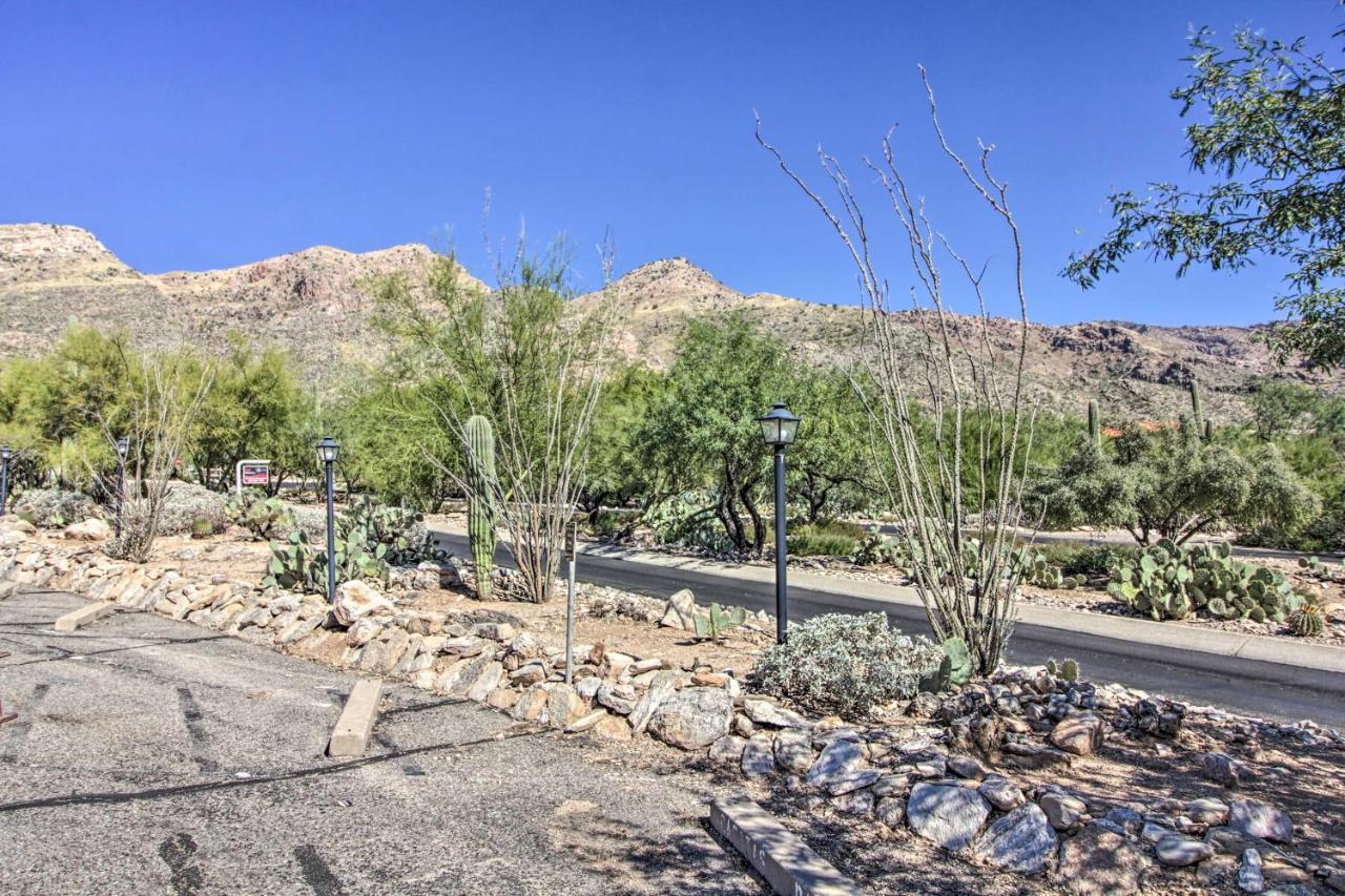 דירות Catalina Foothills, Tucson Valley Hub With View מראה חיצוני תמונה