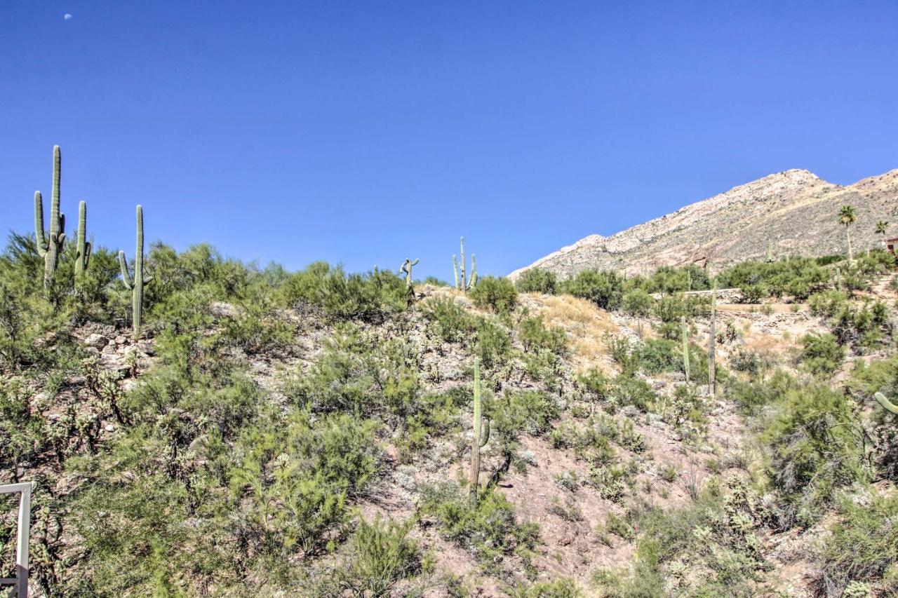 דירות Catalina Foothills, Tucson Valley Hub With View מראה חיצוני תמונה