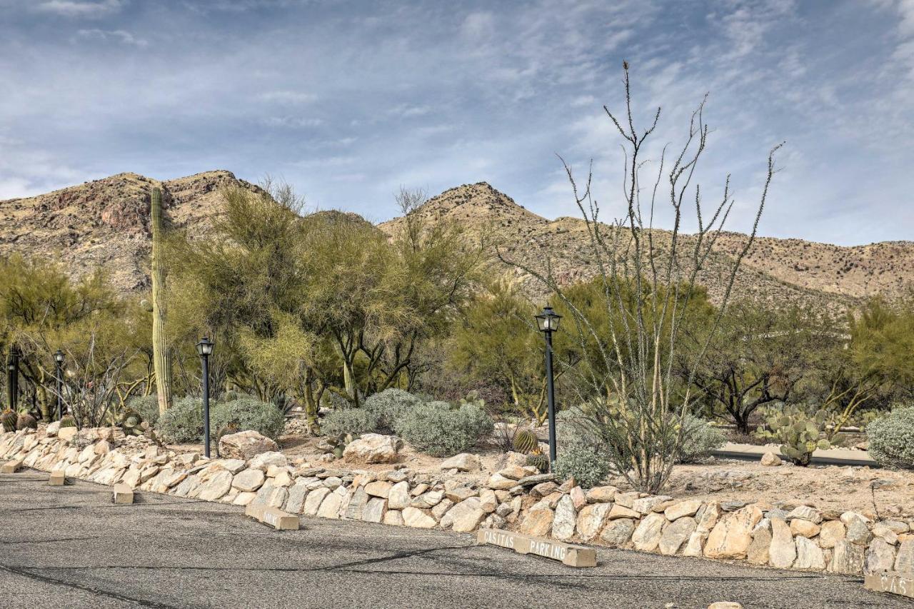 דירות Catalina Foothills, Tucson Valley Hub With View מראה חיצוני תמונה